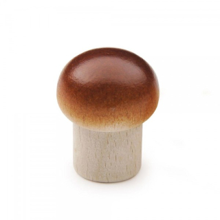 Dřevěná houba žampion